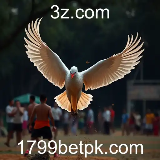 VIP Service 1799bet - 24/7 Support and Exclusive Benefits